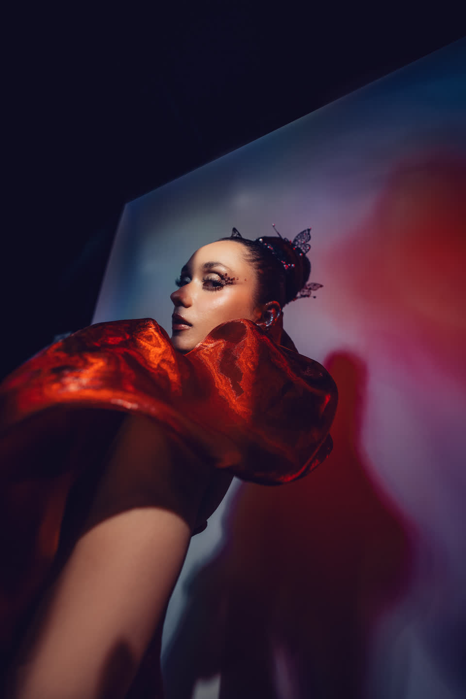 Dancing Swan — image 1