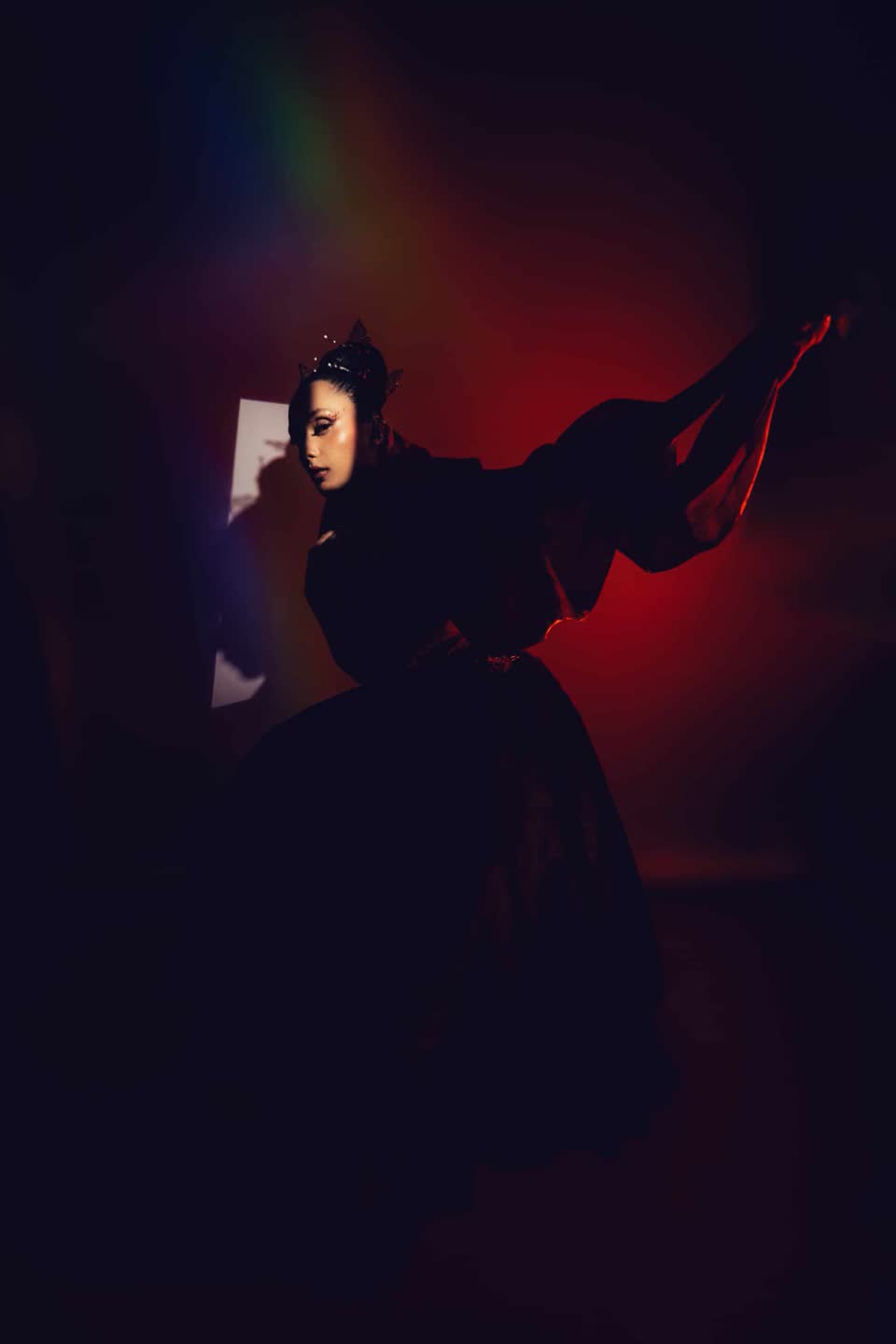 Dancing Swan — image 3